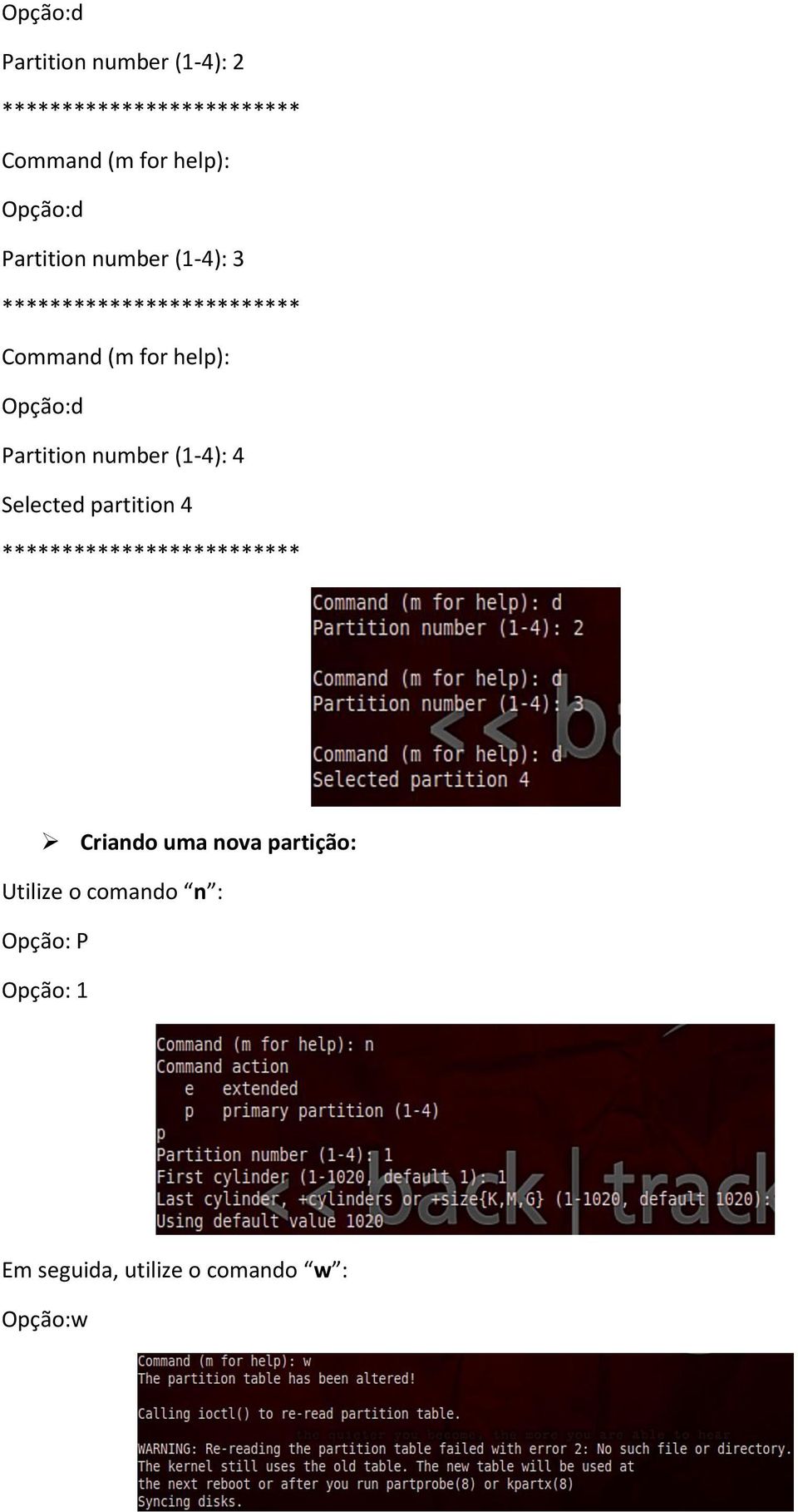 Opção:d Partition number (1-4): 4 Selected partition 4 ************************* Criando