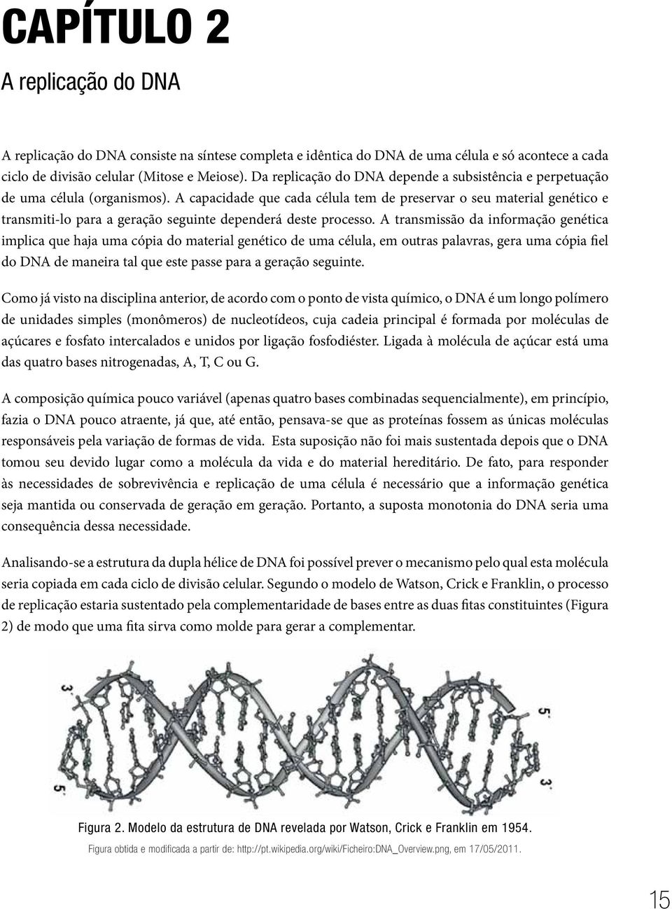 A capacidade que cada célula tem de preservar o seu material genético e transmiti-lo para a geração seguinte dependerá deste processo.