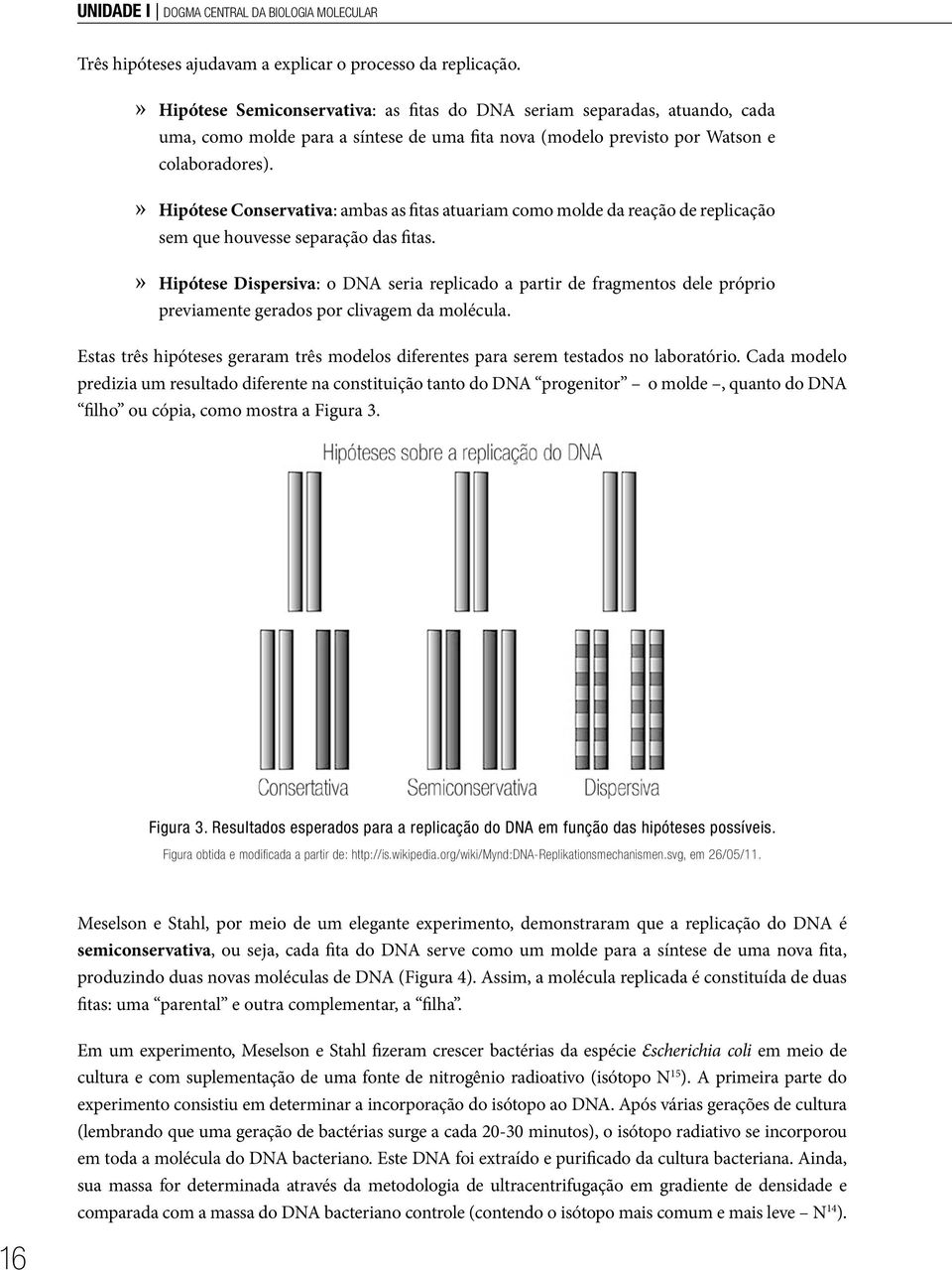 Hipótese Conservativa: ambas as fitas atuariam como molde da reação de replicação sem que houvesse separação das fitas.