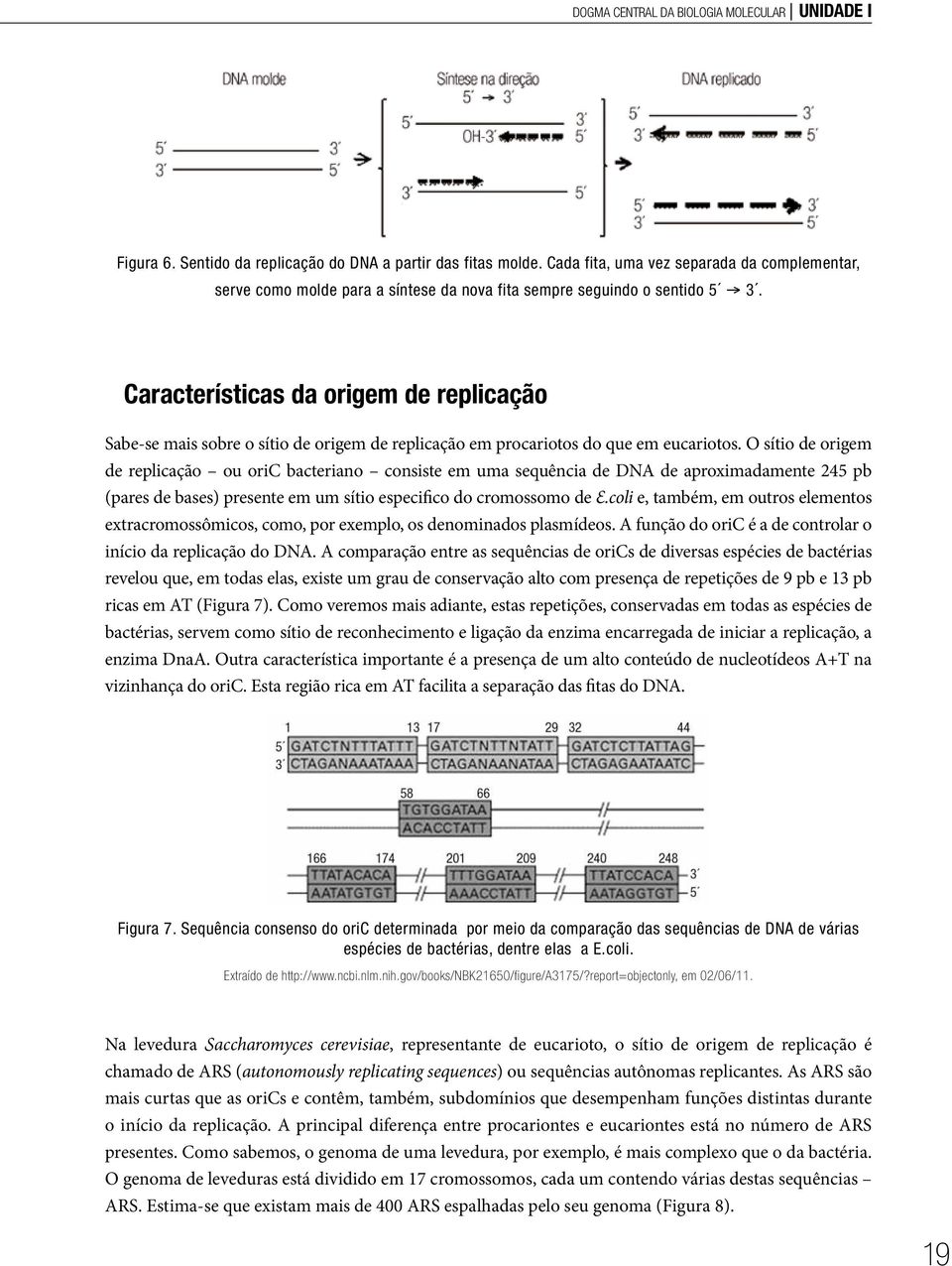 Características da origem de replicação Sabe-se mais sobre o sítio de origem de replicação em procariotos do que em eucariotos.