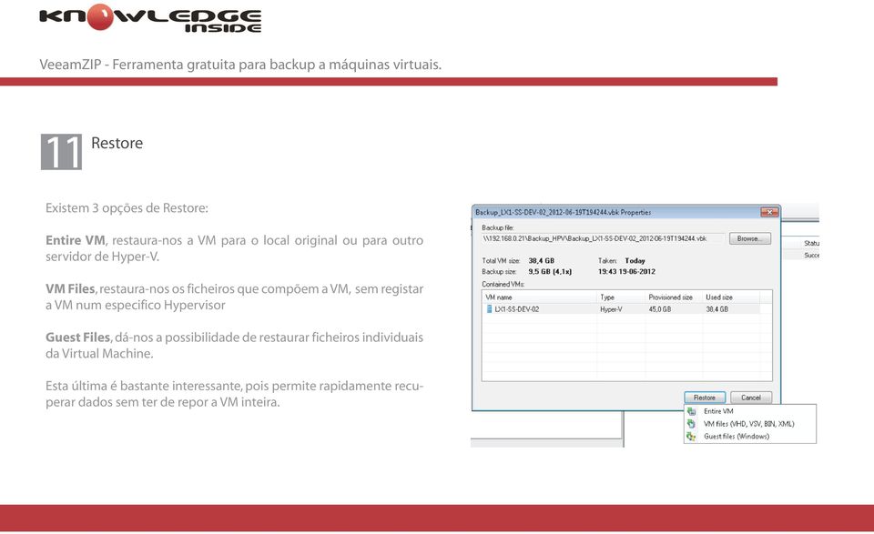 VM Files, restaura-nos os ficheiros que compõem a VM, sem registar a VM num especifico Hypervisor Guest