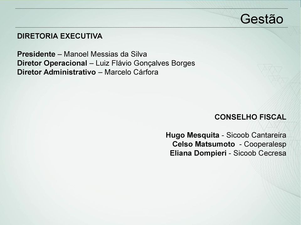 Administrativo Marcelo Cárfora CONSELHO FISCAL Hugo Mesquita -