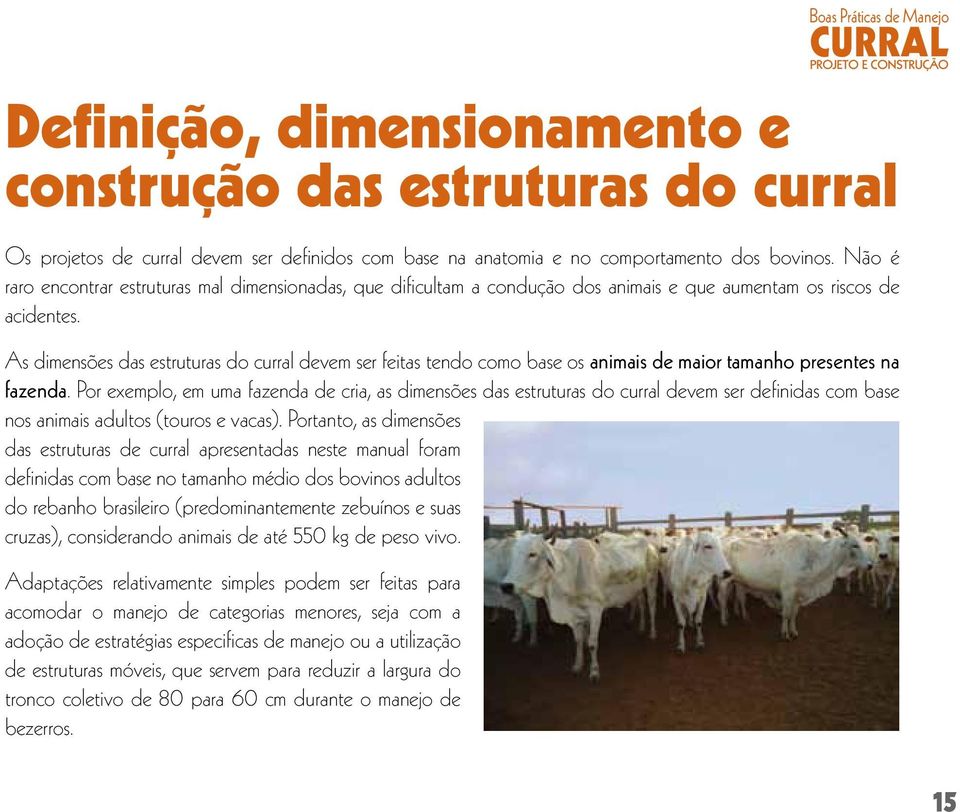 As dimensões das estruturas do curral devem ser feitas tendo como base os animais de maior tamanho presentes na fazenda.