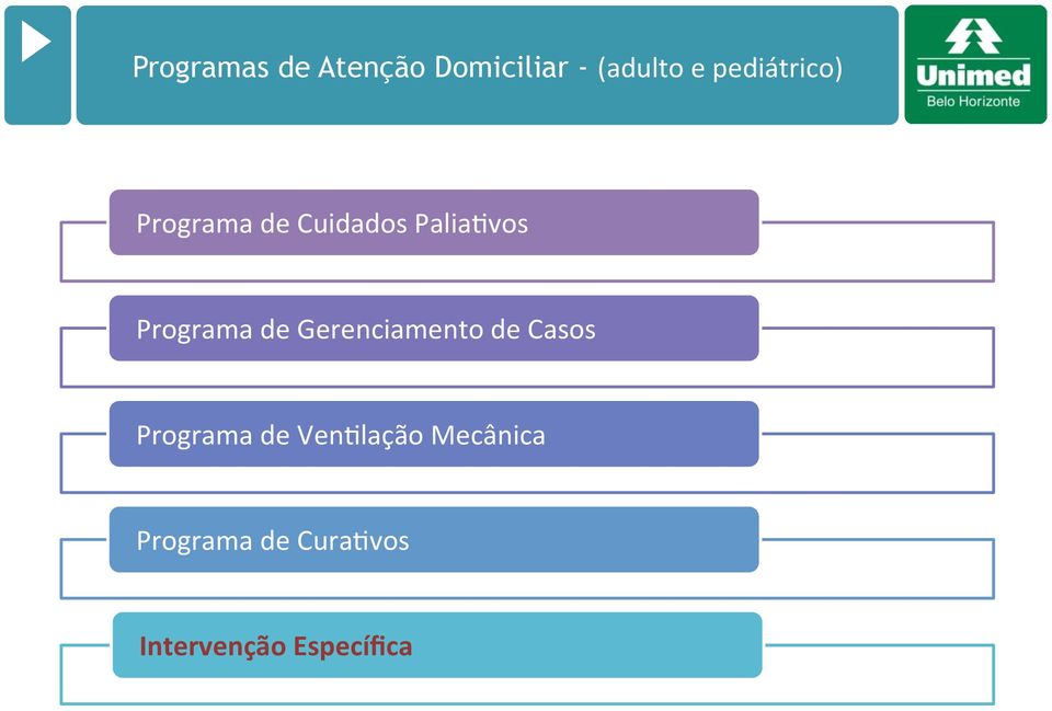 Programa de Gerenciamento de Casos Programa de