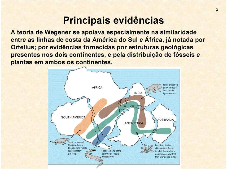 por Ortelius; por evidências fornecidas por estruturas geológicas presentes