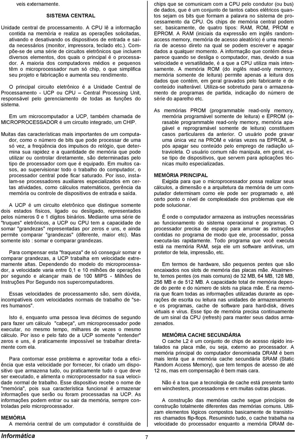 Compõe-se de uma série de circuitos eletrônicos que incluem diversos elementos, dos quais o principal é o processador.