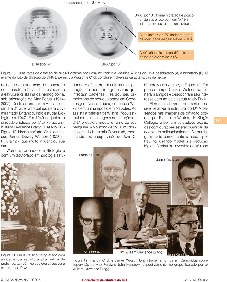 ranklin e Maurice Wilkins do DNA desidratado (A) e hidratado (B). O exame da foto de difração do DNA B permitiu a Watson e Crick concluírem diversas características da hélice.