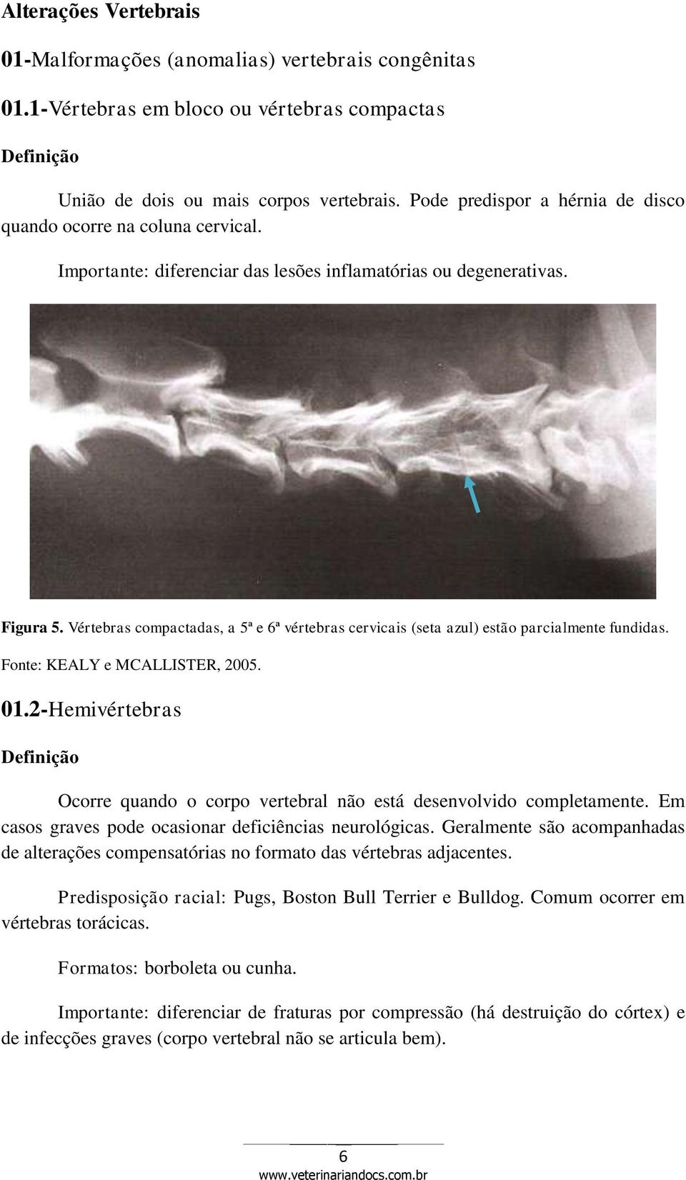 Vértebras compactadas, a 5ª e 6ª vértebras cervicais (seta azul) estão parcialmente fundidas. Fonte: KEALY e MCALLISTER, 2005. 01.