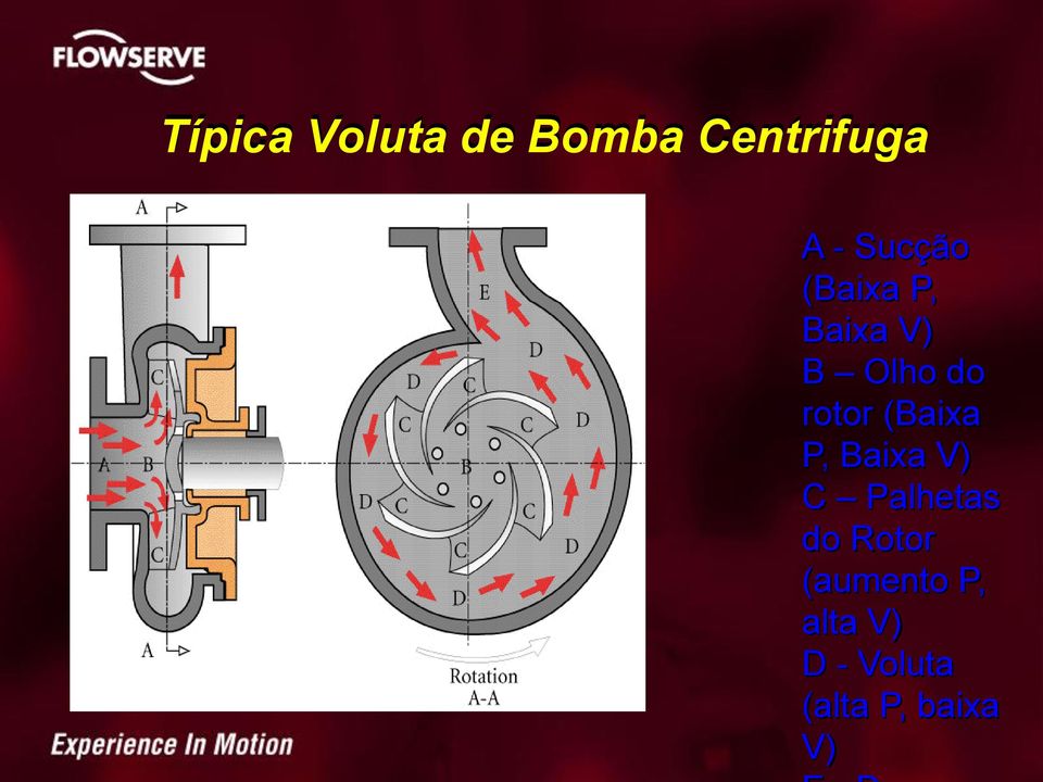 (Baixa P, Baixa V) C Palhetas do Rotor