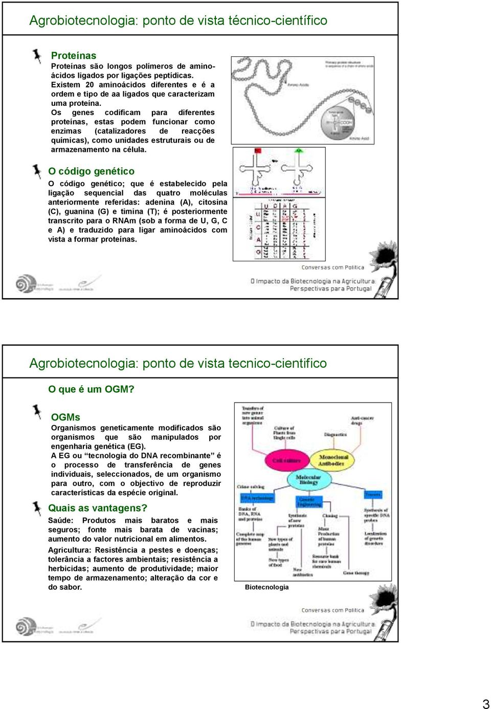 O código genético O código genético; que é estabelecido pela ligação sequencial das quatro moléculas anteriormente referidas: adenina (A), citosina (C), guanina (G) e timina (T); é posteriormente