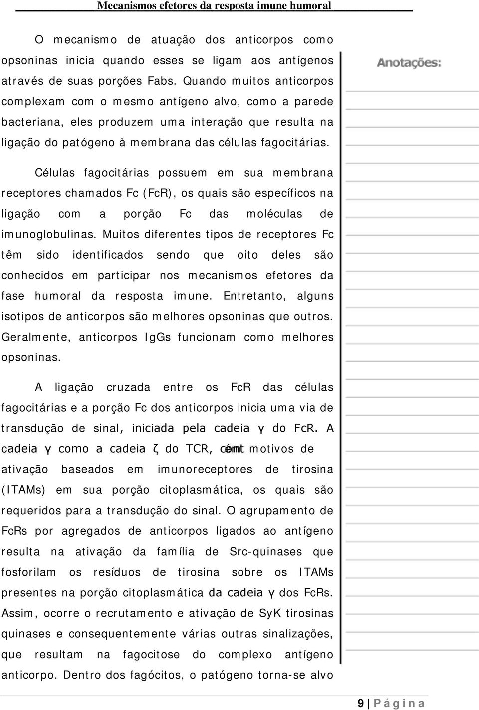 Células fagocitárias possuem em sua membrana receptores chamados Fc (FcR), os quais são específicos na ligação com a porção Fc das moléculas de imunoglobulinas.