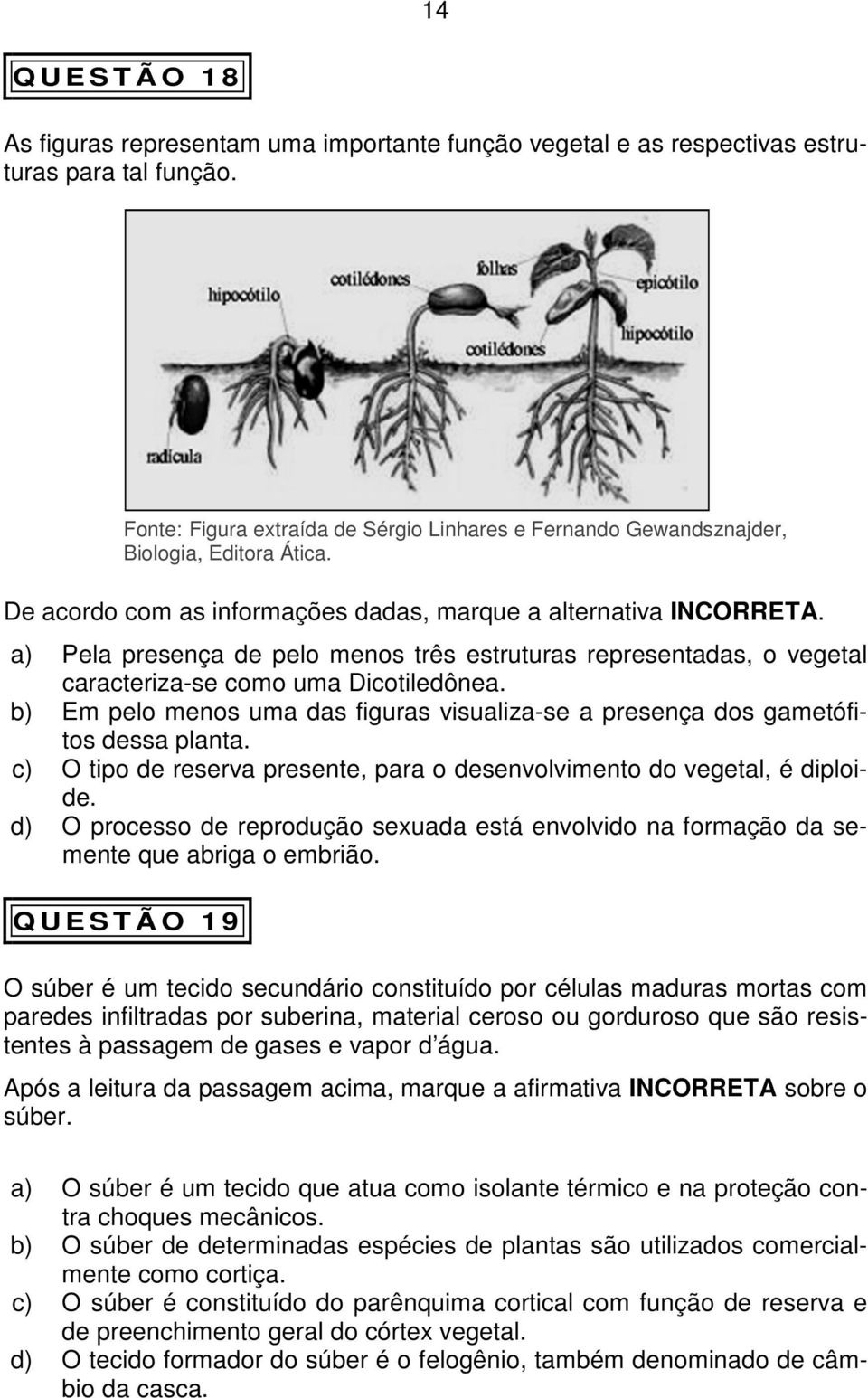 a) Pela presença de pelo menos três estruturas representadas, o vegetal caracteriza-se como uma Dicotiledônea. b) Em pelo menos uma das figuras visualiza-se a presença dos gametófitos dessa planta.