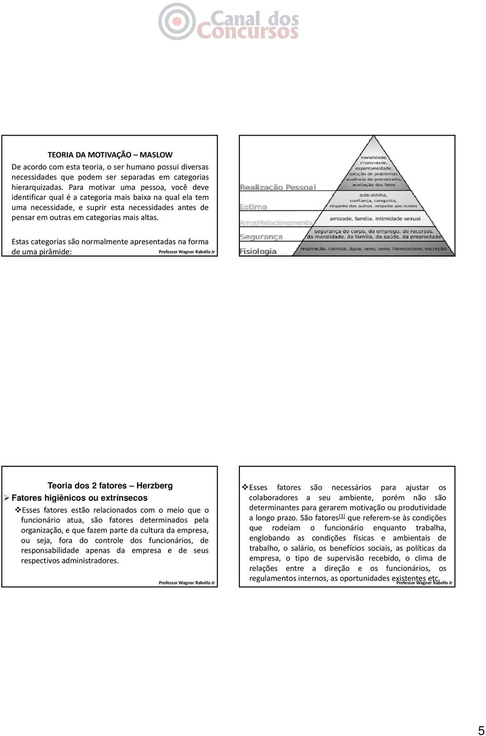 Estas categorias são normalmente apresentadas na forma de uma pirâmide: Teoria dos 2 fatores Herzberg Fatores higiênicos ou extrínsecos Esses fatores estão relacionados com o meio que o funcionário