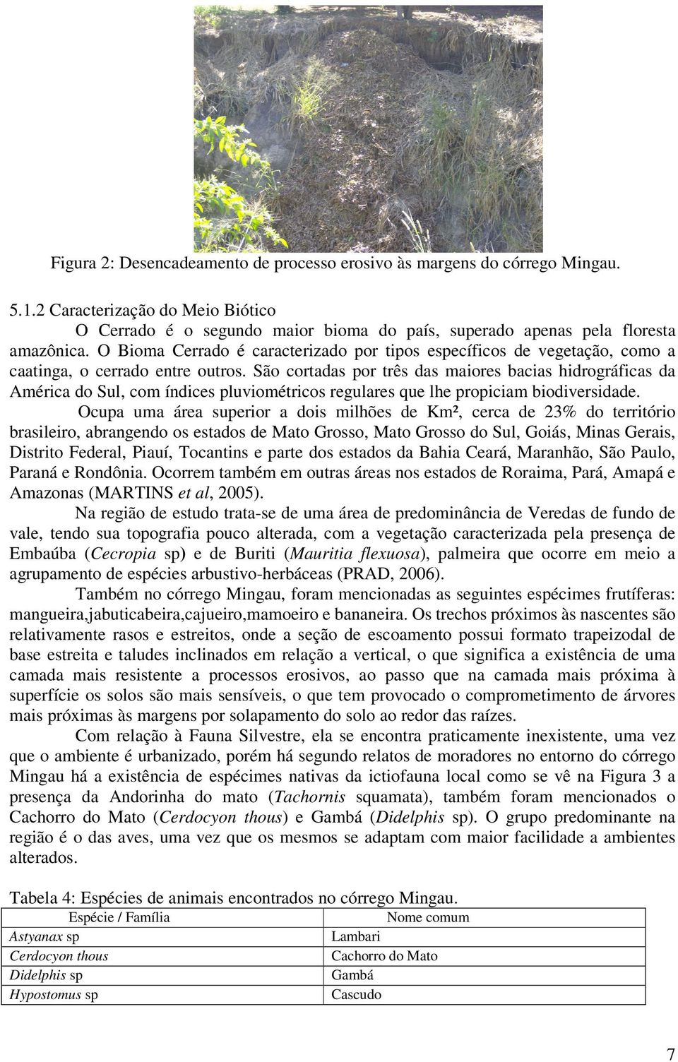 São cortadas por três das maiores bacias hidrográficas da América do Sul, com índices pluviométricos regulares que lhe propiciam biodiversidade.