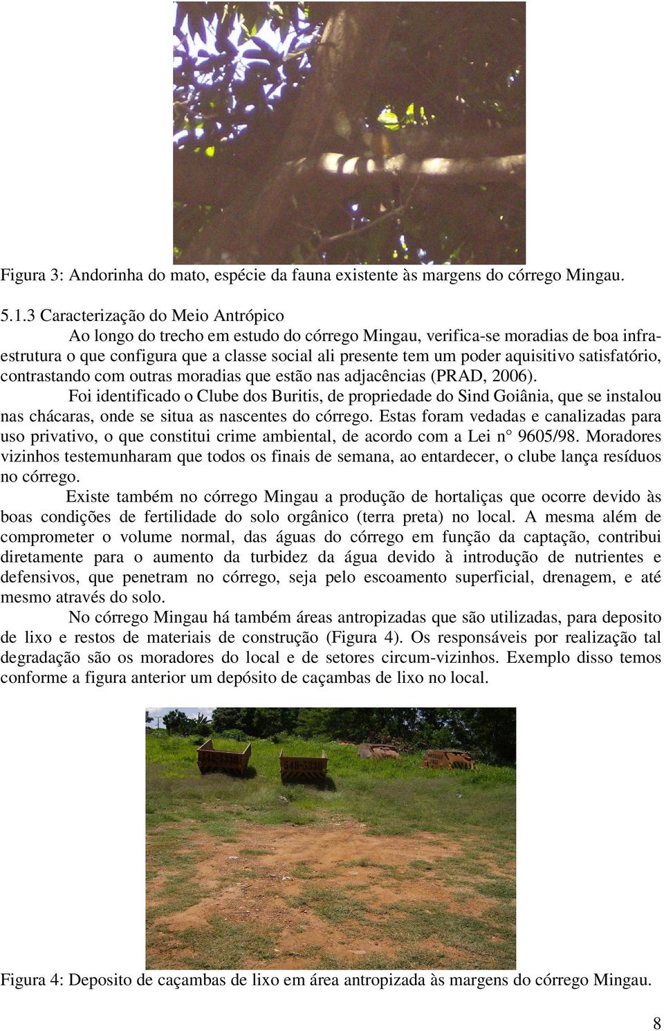 satisfatório, contrastando com outras moradias que estão nas adjacências (PRAD, 2006).