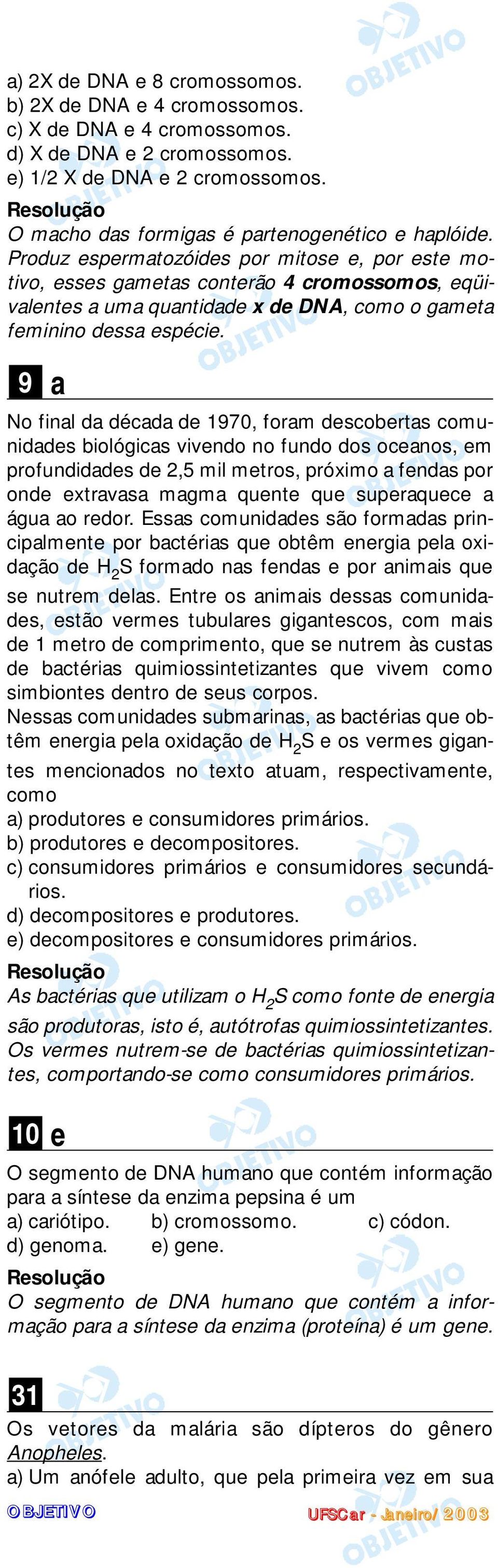 Produz espermatozóides por mitose e, por este motivo, esses gametas conterão 4 cromossomos, eqüivalentes a uma quantidade x de DNA, como o gameta feminino dessa espécie.