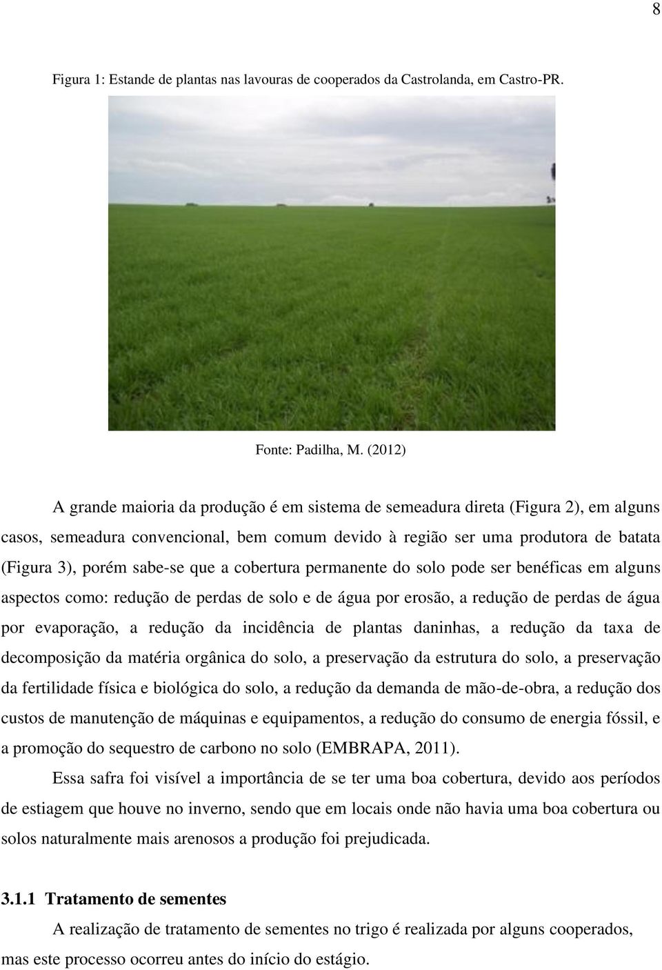 sabe-se que a cobertura permanente do solo pode ser benéficas em alguns aspectos como: redução de perdas de solo e de água por erosão, a redução de perdas de água por evaporação, a redução da