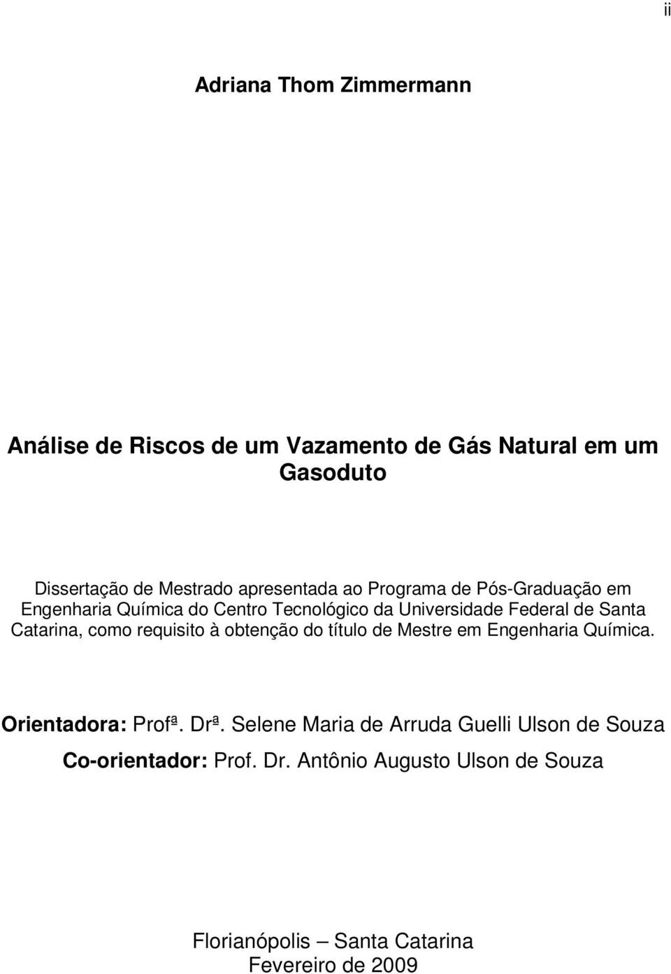 Catarina, como requisito à obtenção do título de Mestre em Engenharia Química. Orientadora: Profª. Drª.