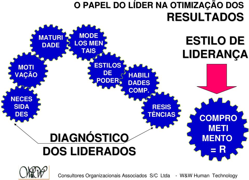 ESTILOS DE PODER DIAGNÓSTICO DOS LIDERADOS HABILI DADES