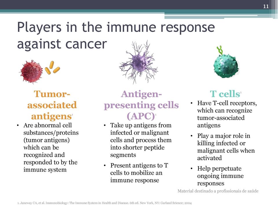 an immune response T cells 1 Have T-cell receptors, which can recognize tumor-associated antigens Play a major role in killing infected or malignant cells when activated Help