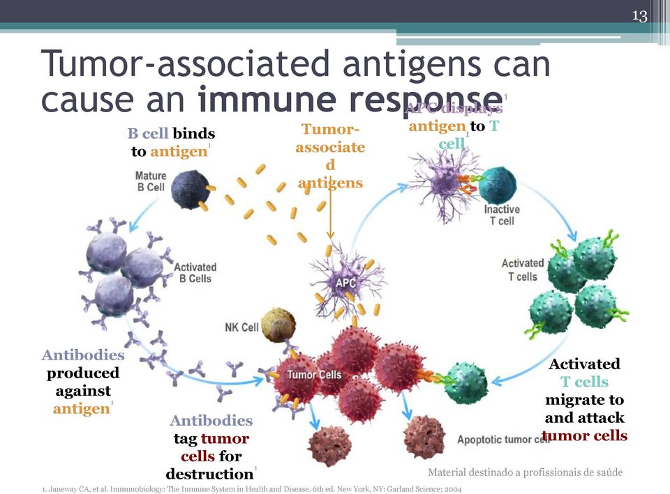 for destruction 1 1. Janeway CA, et al. Immunobiology: The Immune System in Health and Disease. 6th ed.