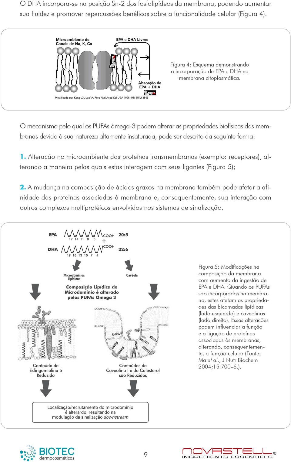 O mecanismo pelo qual os PUFAs ômega-3 podem alterar as propriedades biofísicas das membranas devido à sua natureza altamente insaturada, pode ser descrito da seguinte forma: 1.