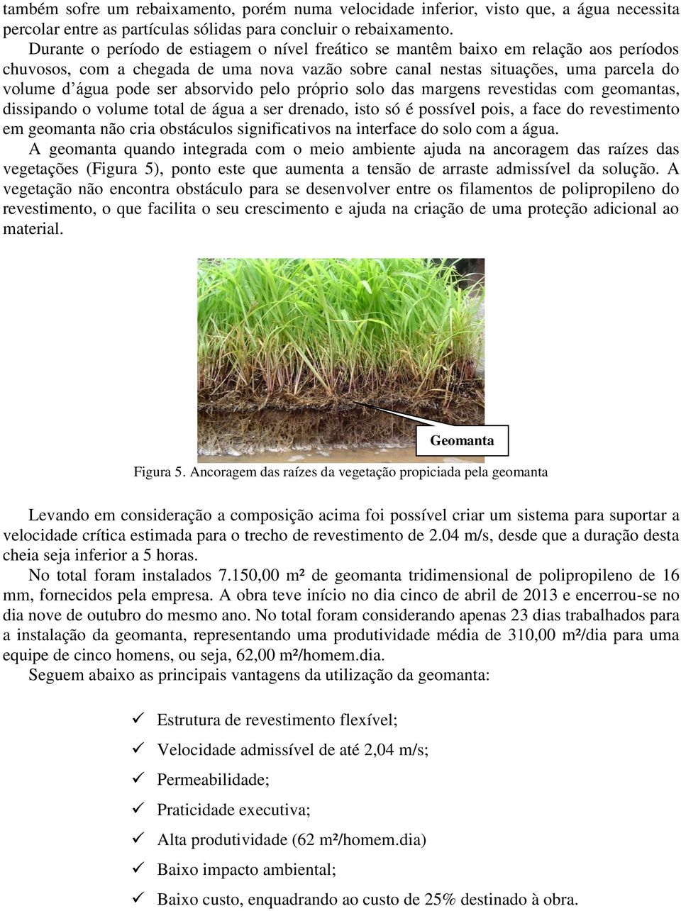 absorvido pelo próprio solo das margens revestidas com geomantas, dissipando o volume total de água a ser drenado, isto só é possível pois, a face do revestimento em geomanta não cria obstáculos