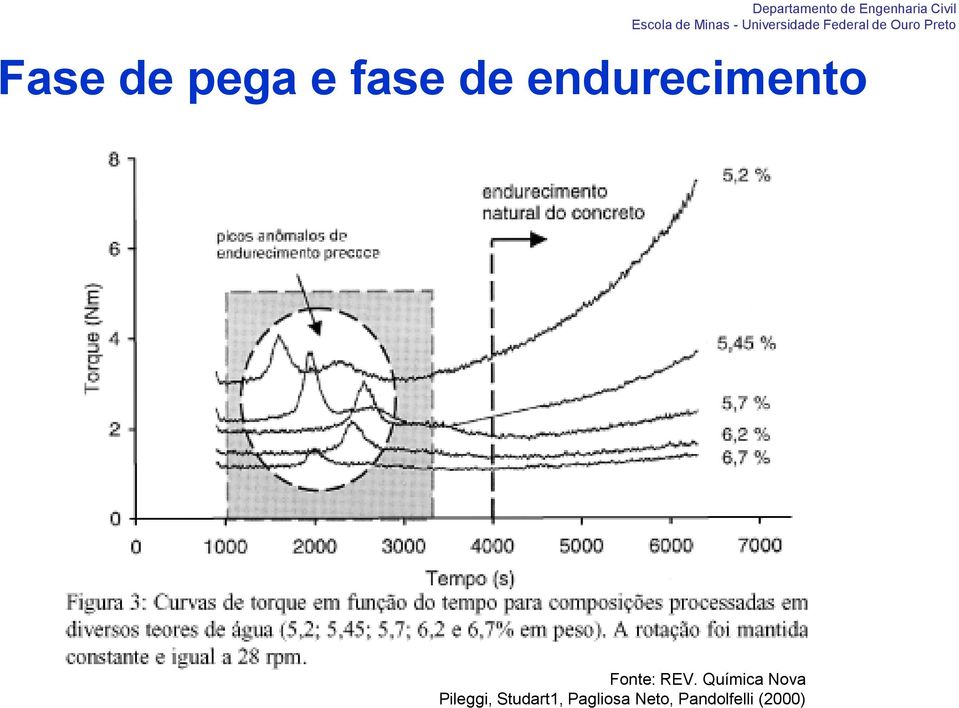 Química Nova Pileggi,