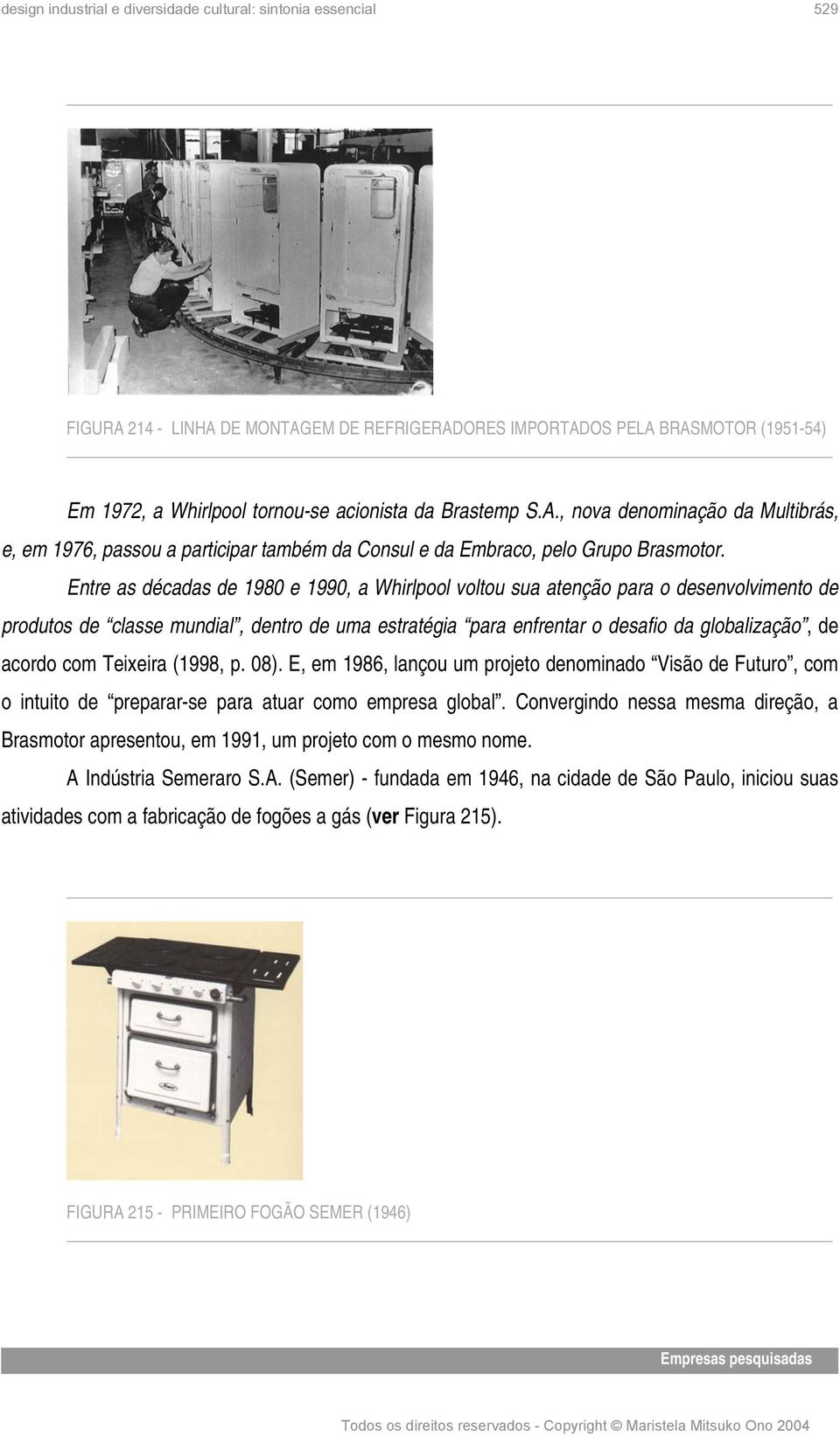 Teixeira (1998, p. 08). E, em 1986, lançou um projeto denominado Visão de Futuro, com o intuito de preparar-se para atuar como empresa global.