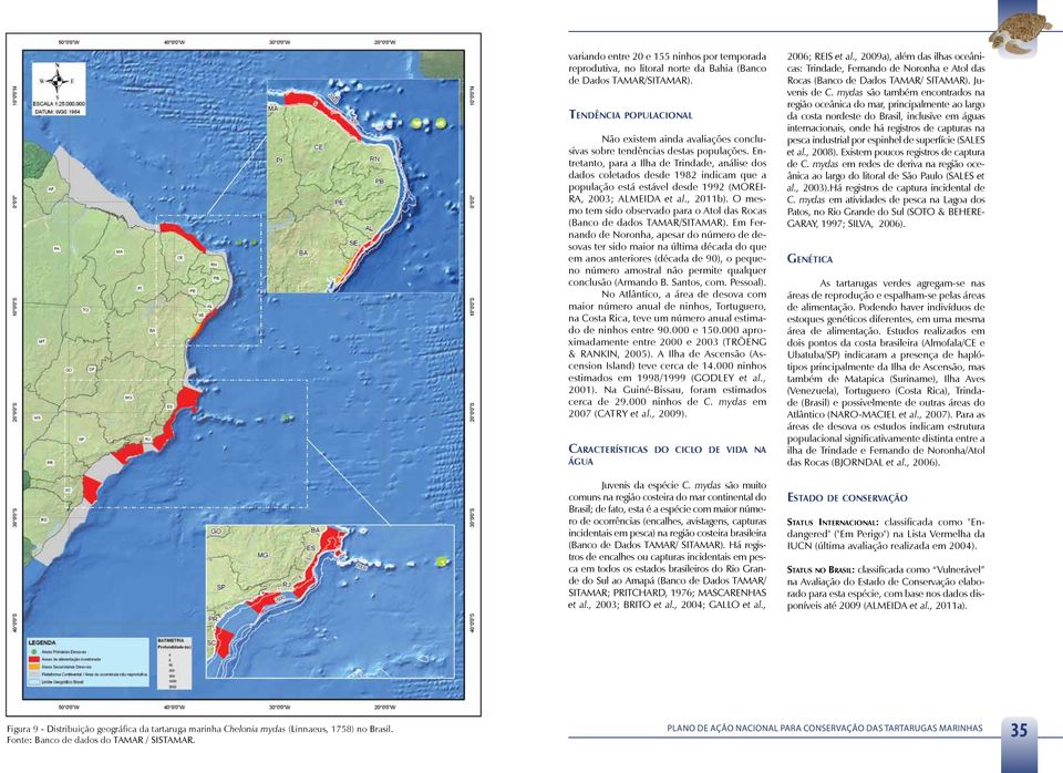 Entretanto, para a Ilha de Trindade, análise dos dados coletados desde 1982 indicam que a população está estável desde 1992 (Moreira, 2003; Almeida et al., 2011b).