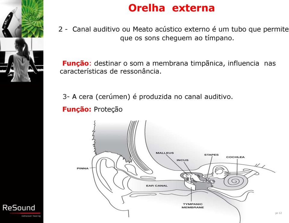 Função: destinar o som a membrana timpãnica, influencia nas características