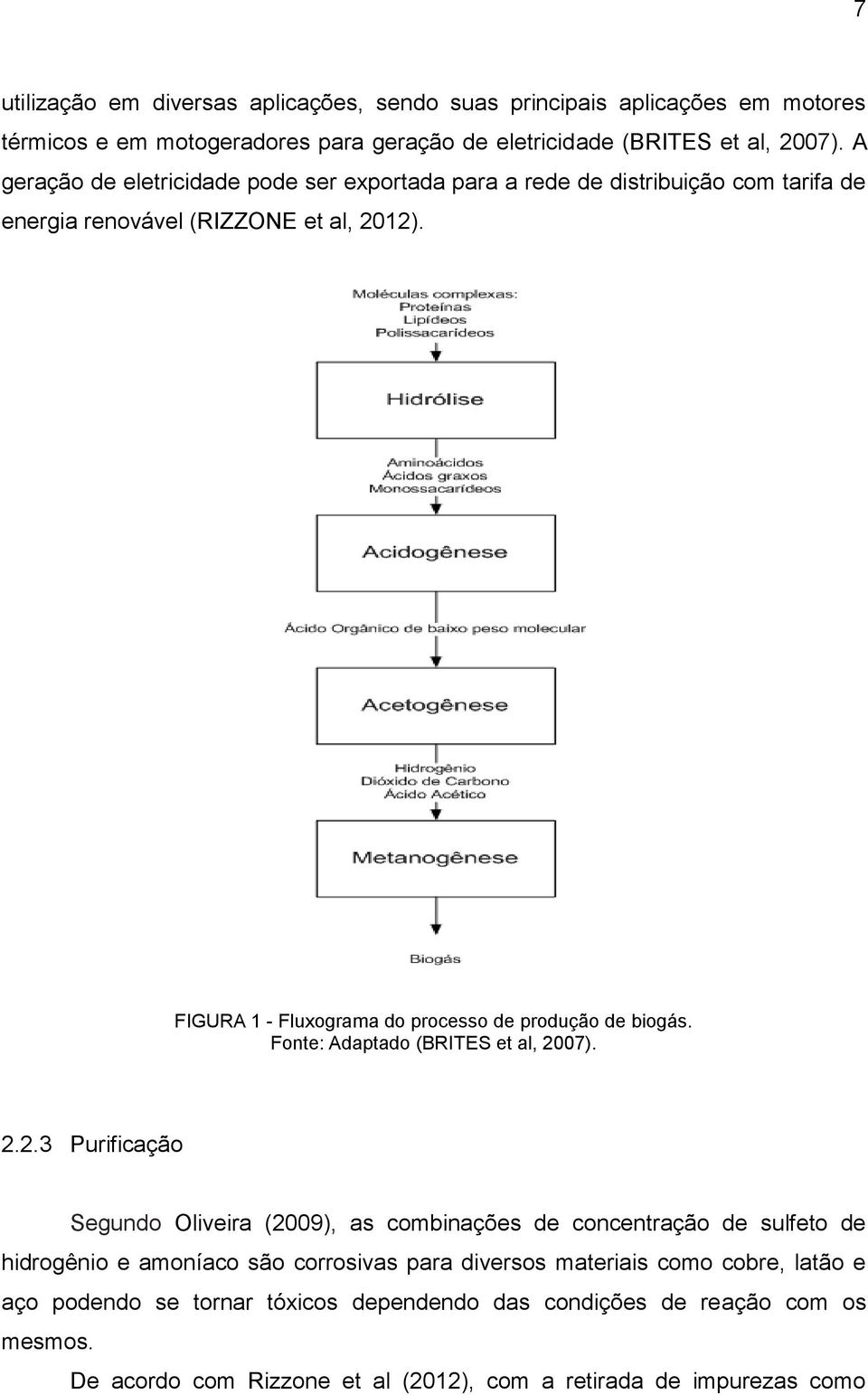 FIGURA 1 - Fluxograma do processo de produção de biogás. Fonte: Adaptado (BRITES et al, 20