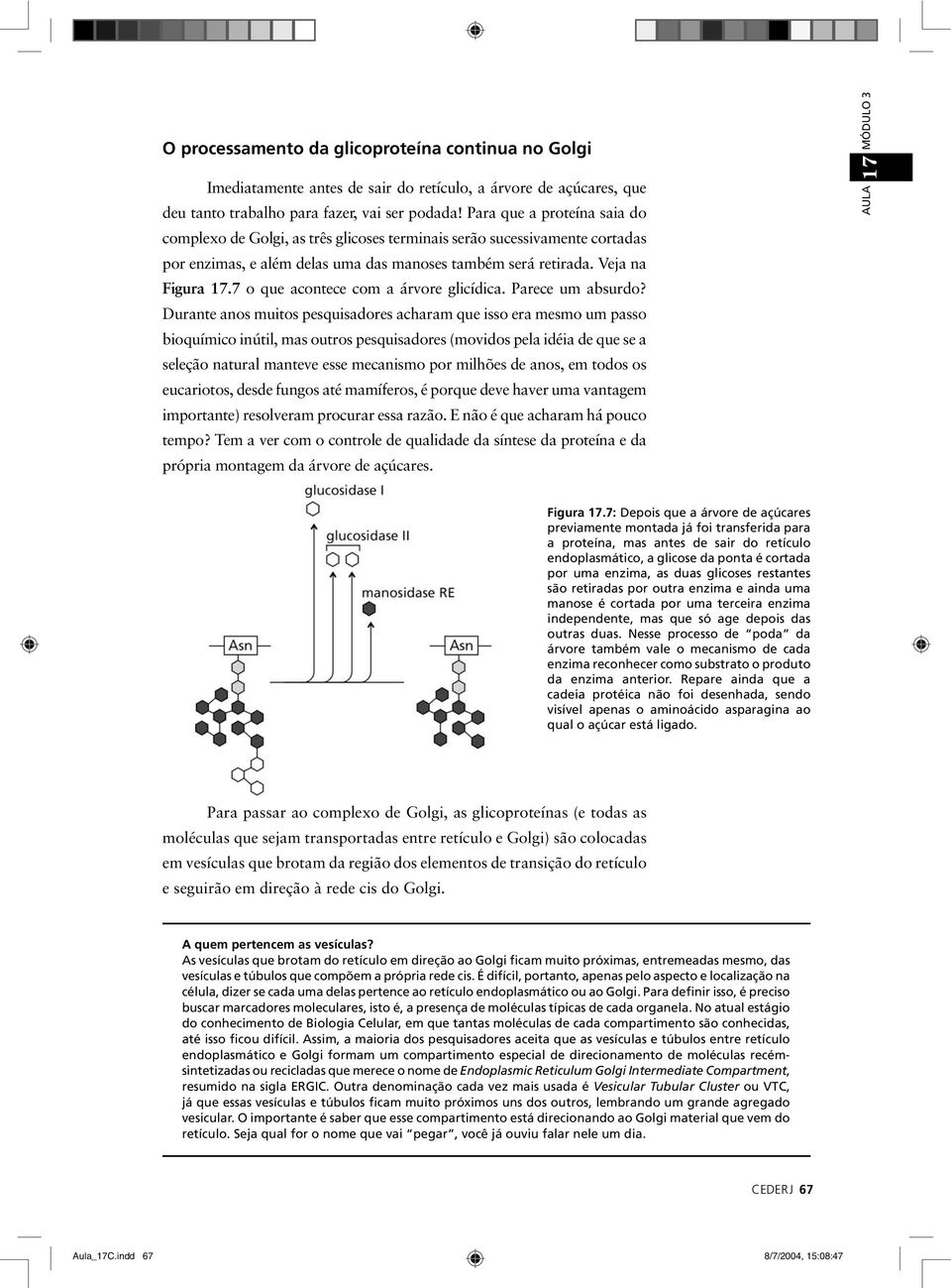 7 o que acontece com a árvore glicídica. Parece um absurdo?