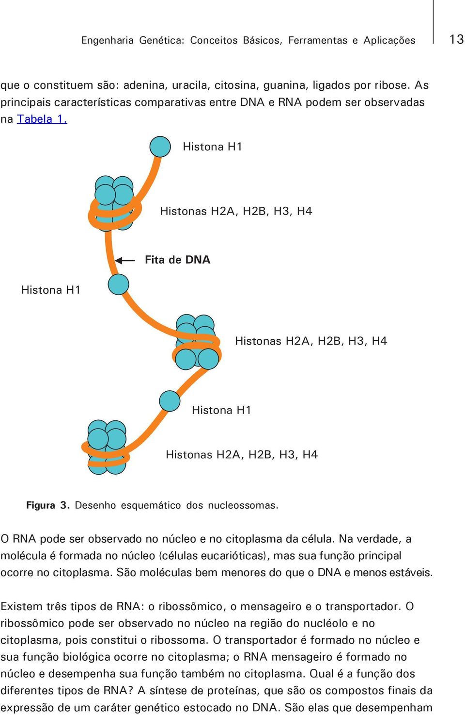 Histona H1 Histonas H2A, H2B, H3, H4 Histona H1 Fita de DNA Histonas H2A, H2B, H3, H4 Histona H1 Histonas H2A, H2B, H3, H4 Figura 3. Desenho esquemático dos nucleossomas.