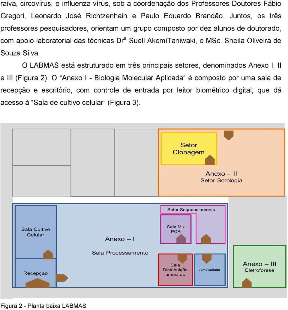 Sheila Oliveira de Souza Silva. O LABMAS está estruturado em três principais setores, denominados Anexo I, II e III (Figura 2).