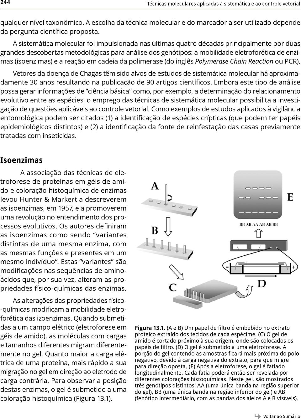 (isoenzimas) e a reação em cadeia da polimerase (do inglês Polymerase Chain Reaction ou PCR).