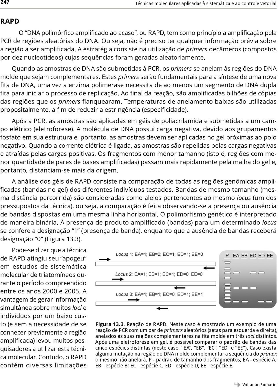 A estratégia consiste na utilização de primers decâmeros (compostos por dez nucleotídeos) cujas sequências foram geradas aleatoriamente.