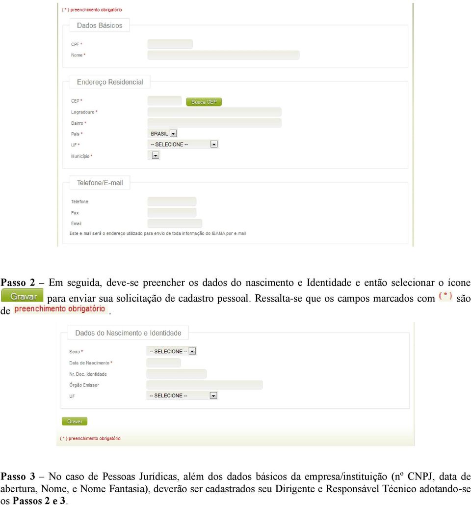 Passo 3 No caso de Pessoas Jurídicas, além dos dados básicos da empresa/instituição (nº CNPJ, data de