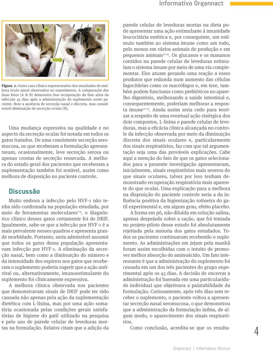 Note a ausência de secreção nasal e discreta, mas considerável diminuição de secreção ocular (B).