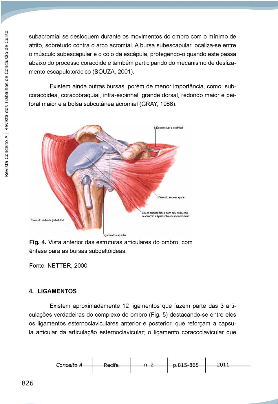 escapulotorácico (SOUZA, 2001).