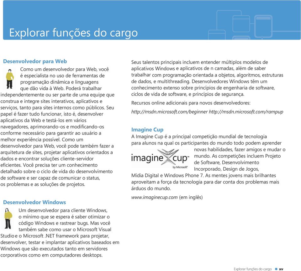 Seu papel é fazer tudo funcionar, isto é, desenvolver aplicativos da Web e testá-los em vários navegadores, aprimorando-os e modificando-os conforme necessário para garantir ao usuário a melhor