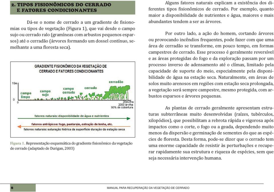 Representação esquemática do gradiente fisionômico da vegetação de cerrado (adaptado de Durigan, 2003) Alguns fatores naturais explicam a existência dos diferentes tipos fisionômicos de cerrado.