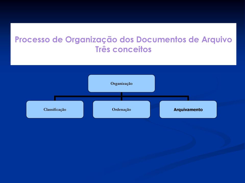 conceitos Organização