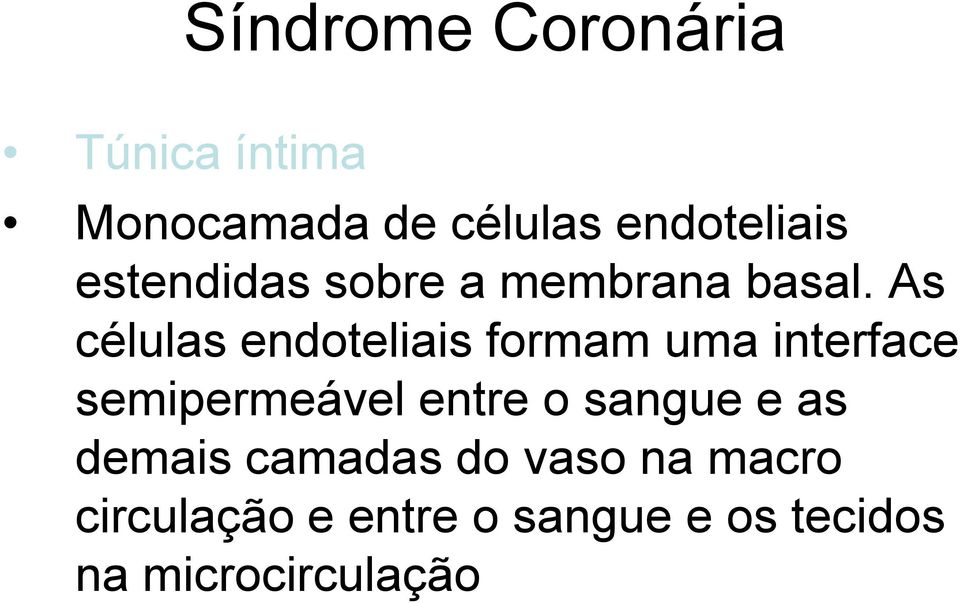 As células endoteliais formam uma interface semipermeável