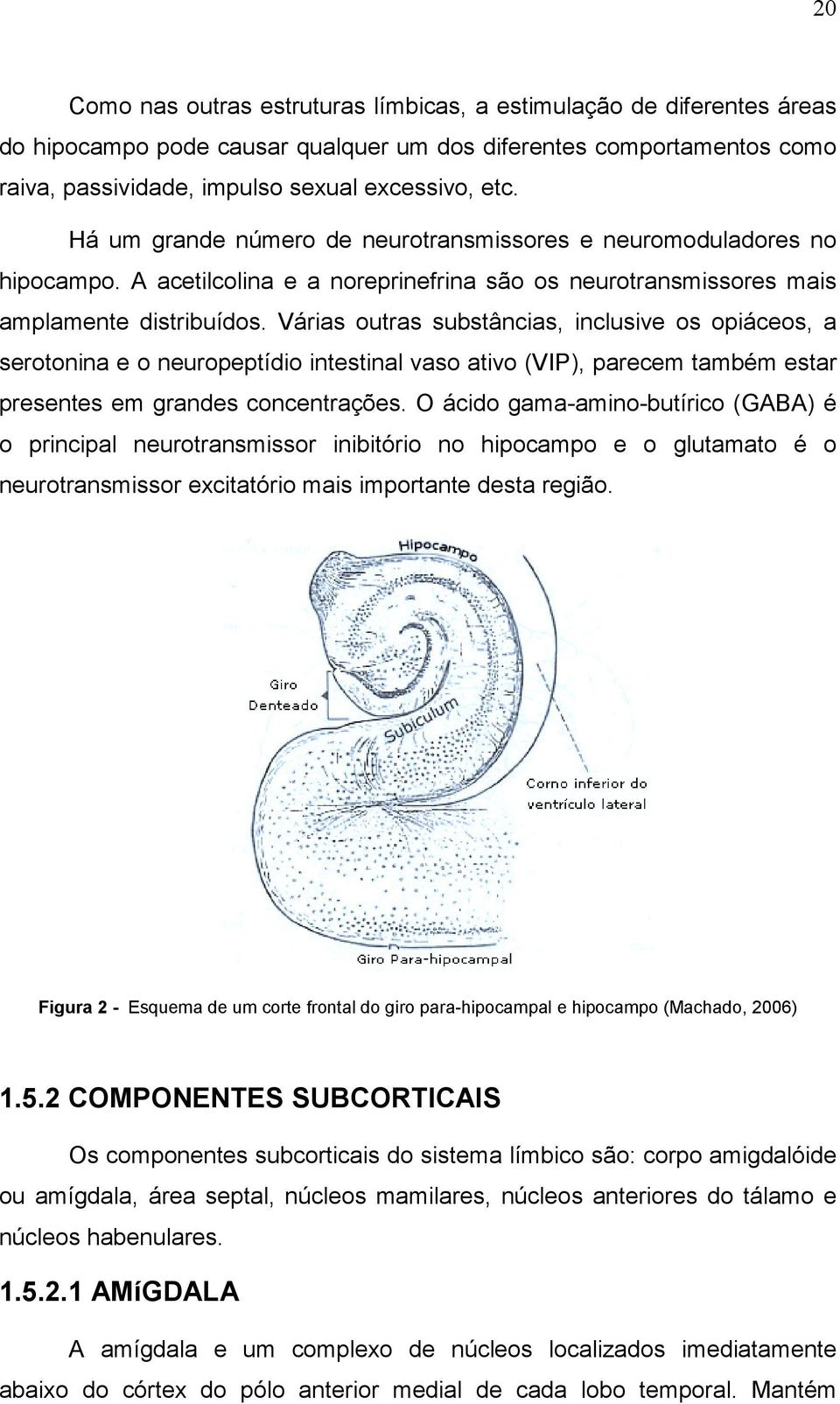 Várias outras substâncias, inclusive os opiáceos, a serotonina e o neuropeptídio intestinal vaso ativo (VIP), parecem também estar presentes em grandes concentrações.