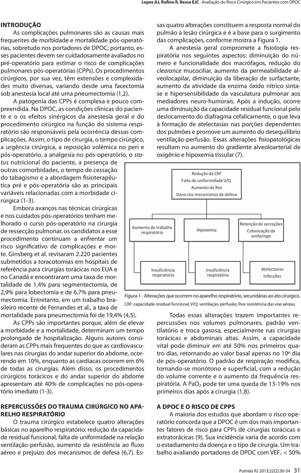 Os procedimentos cirúrgicos, por sua vez, têm extensões e complexidades muito diversas, variando desde uma facectomia sob anestesia local até uma pneumectomia (1,2).