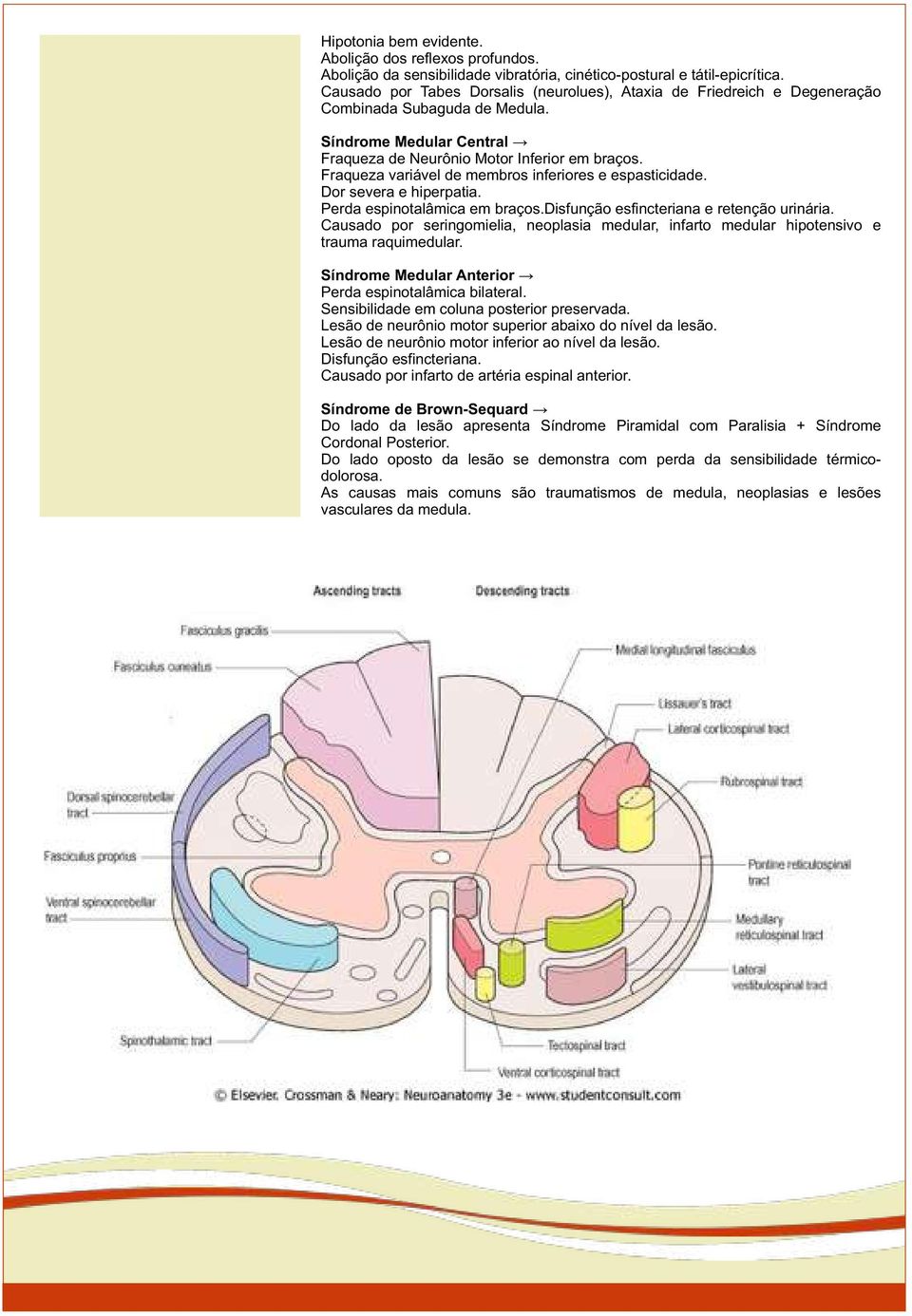 Fraqueza variável de membros inferiores e espasticidade. Dor severa e hiperpatia. Perda espinotalâmica em braços.disfunção esfincteriana e retenção urinária.