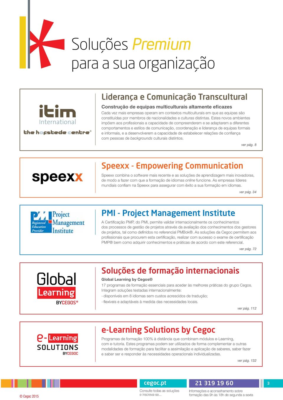 Estes novos ambientes impõem aos profissionais a capacidade de compreenderem e se adaptarem a diferentes comportamentos e estilos de comunicação, coordenação e liderança de equipas formais e