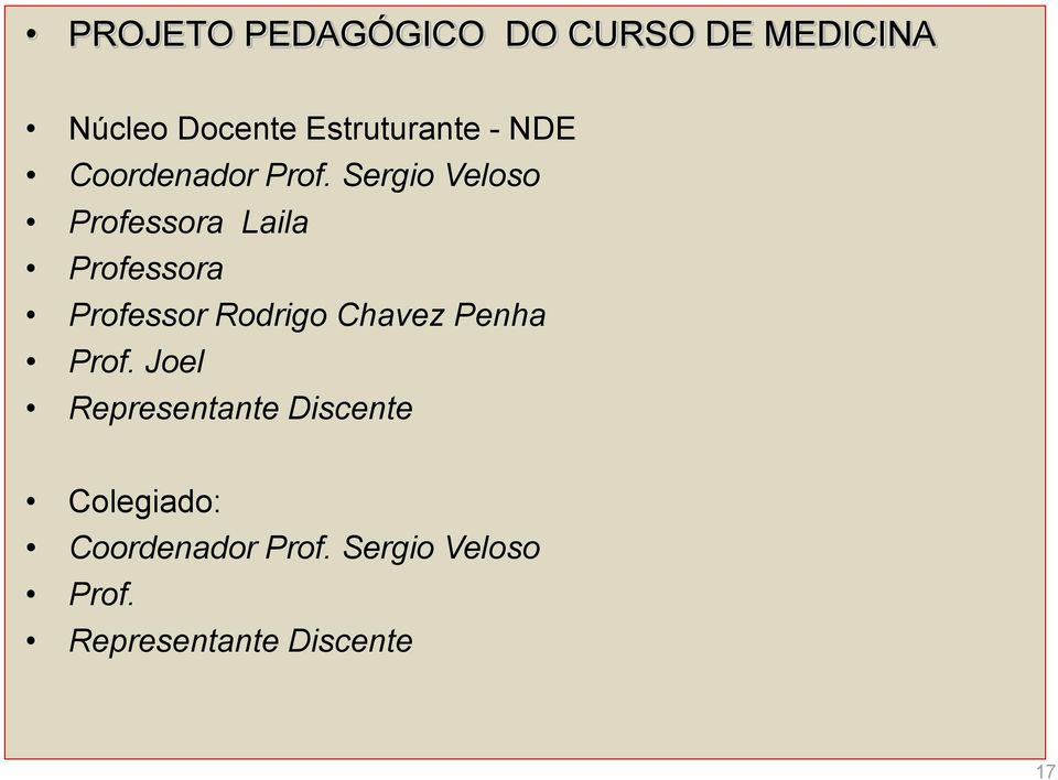 Sergio Veloso Professora Laila Professora Professor Rodrigo Chavez