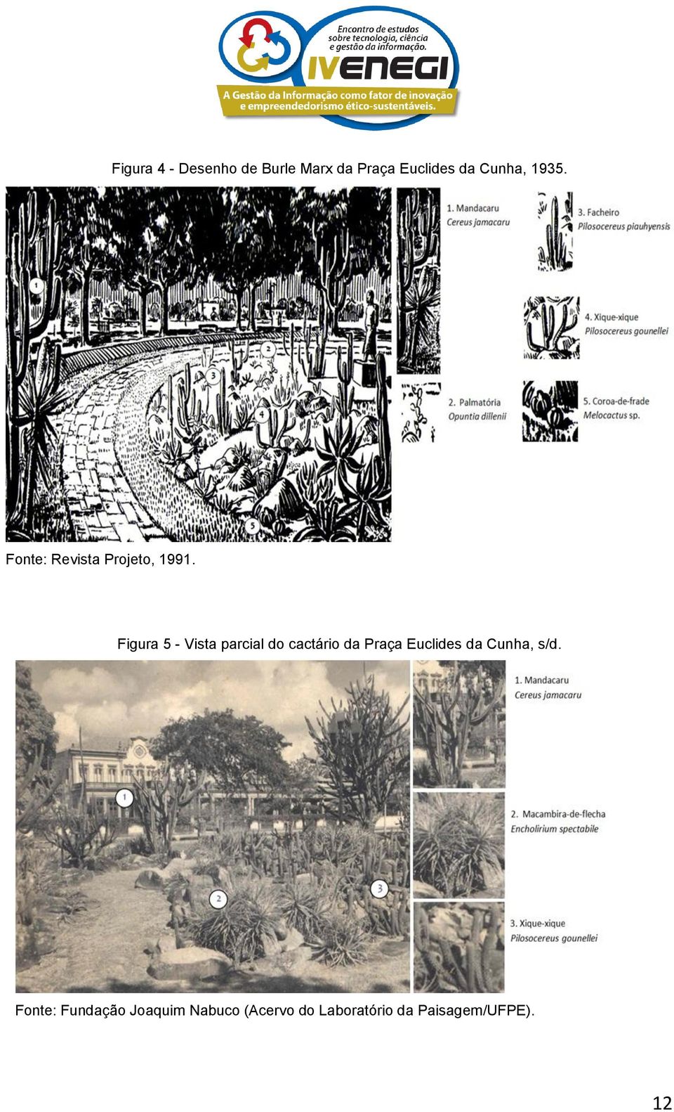 Figura 5 - Vista parcial do cactário da Praça Euclides da